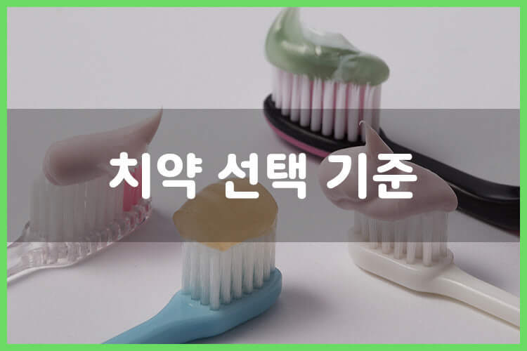 치약의 적정량은 얼마일까? 치약의 성분은 무엇이지? 구강내 질병별 치약의 선택은?