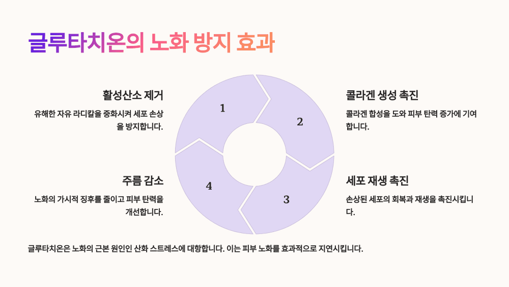 글루타치온의 노화 방지 효과