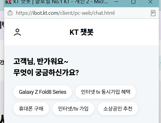 KT 고객센터 (챗봇)