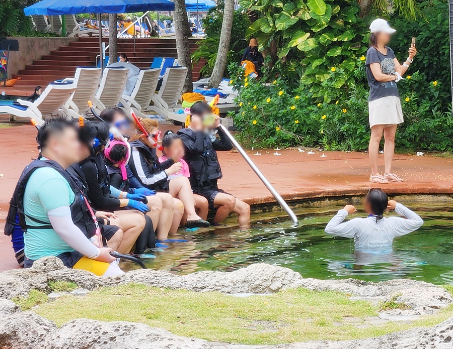 설명해주는 선생님