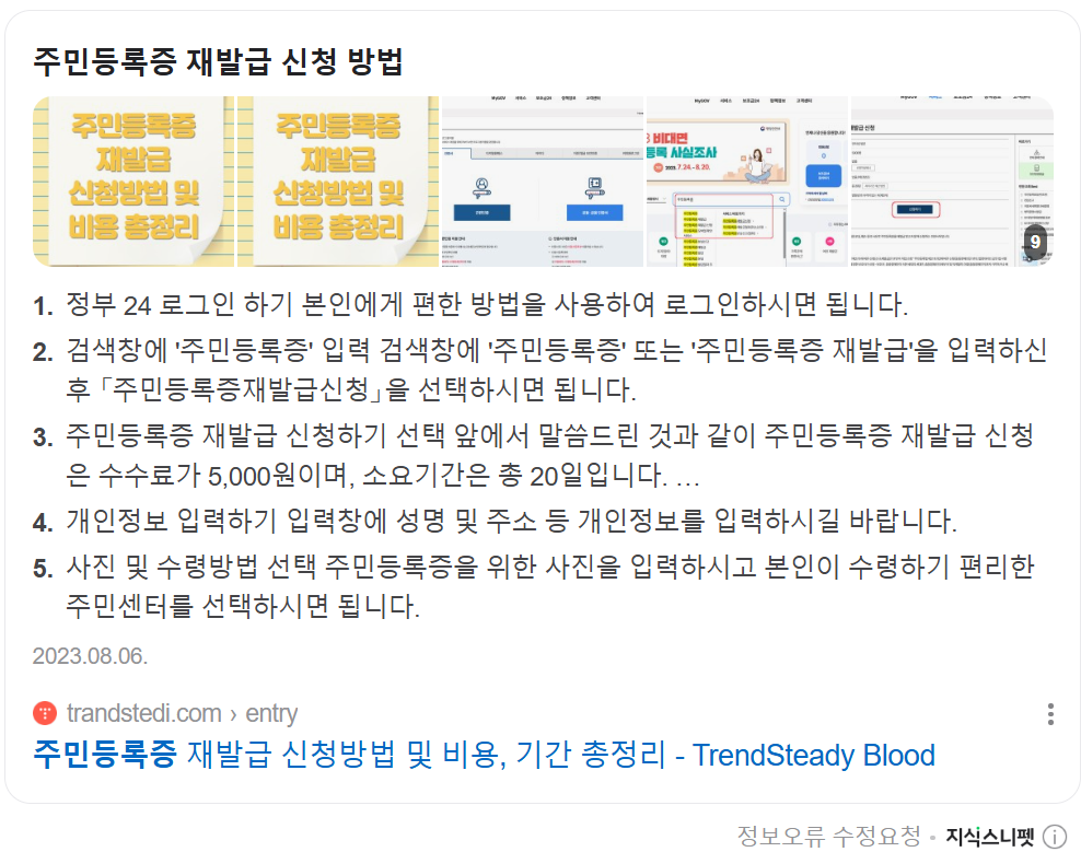 네이버 지식스니펫