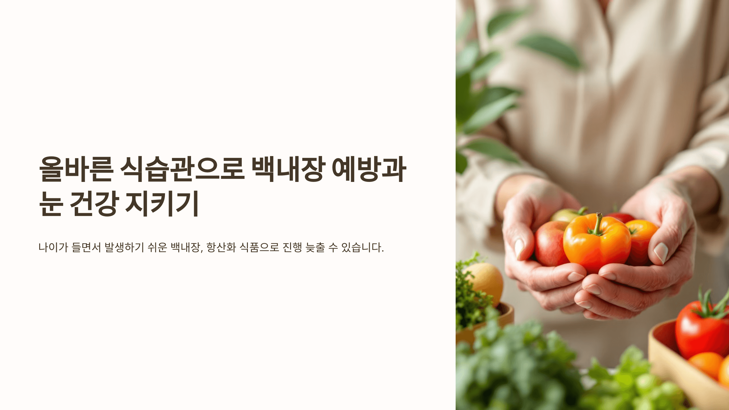 백내장과 관련된 사진입니다.