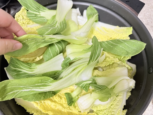 알배추-위에-청경채를-덮은-이미지