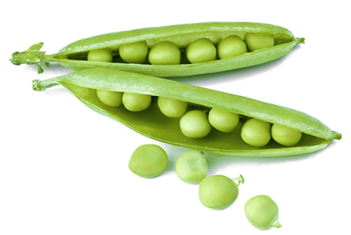 완두콩 효능01