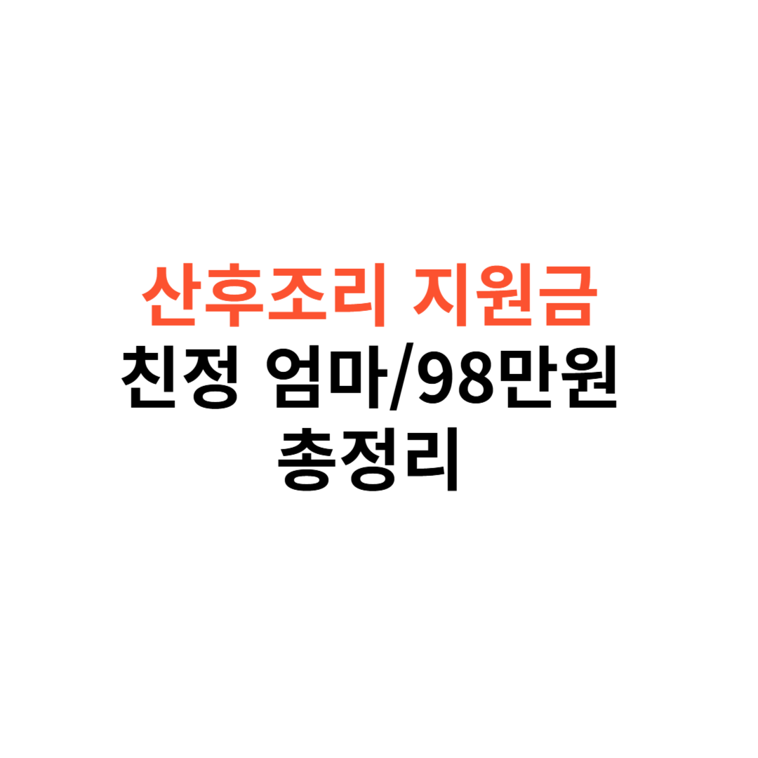 산후조리 지원금