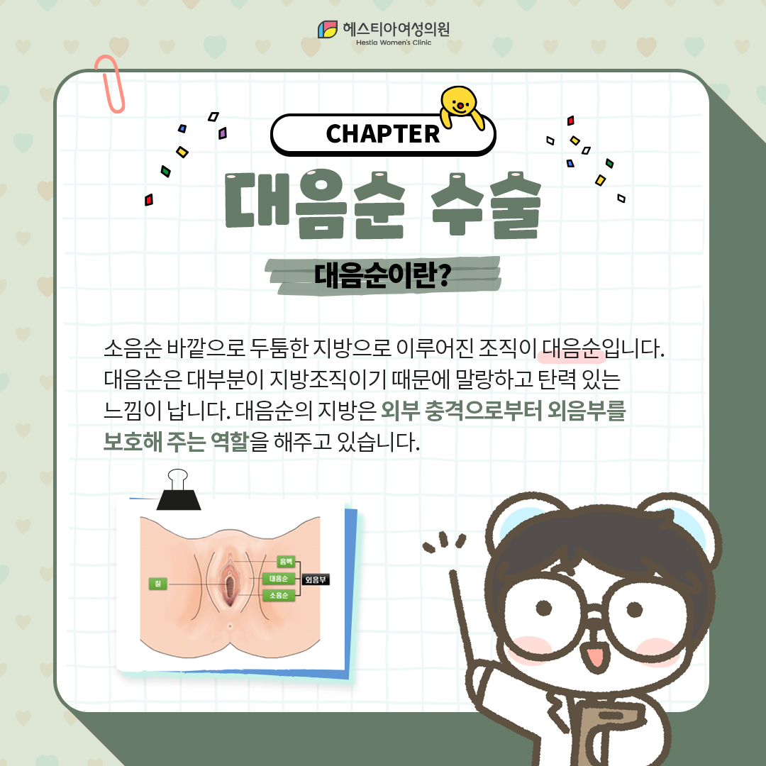대음순이란??