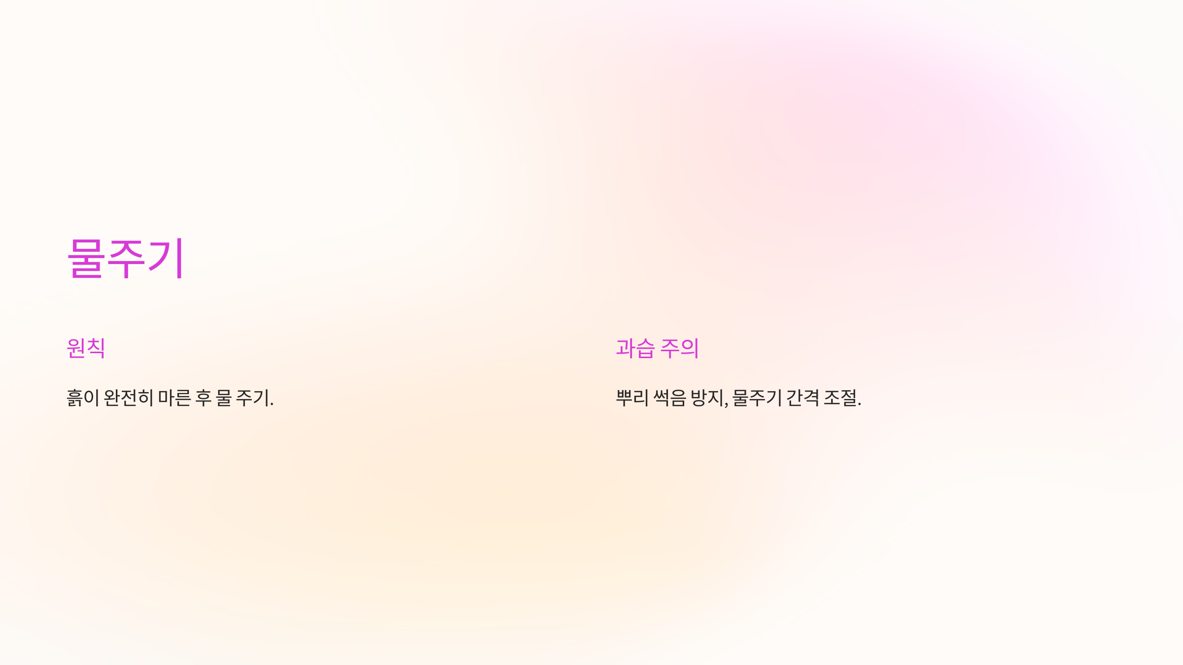 크리스마스 선인장 사진입니다.