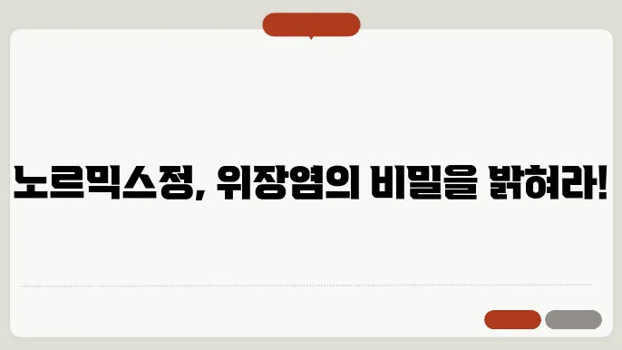 노르믹스정 부작용
