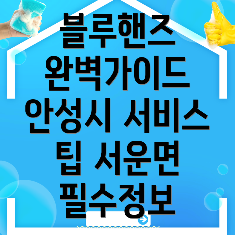 블루핸즈 서비스