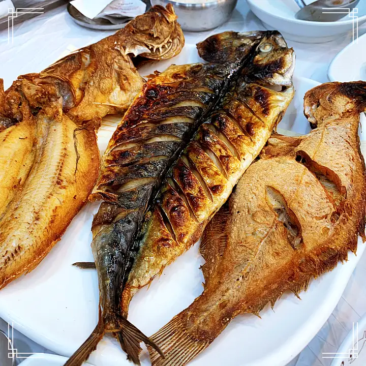 강원도 고성 식당 생선 구이 생선조림 모듬 생선찜 갈치조림 한국인의 밥상 믿고 떠나는 스타 심양홍 고향 맛집 추천
