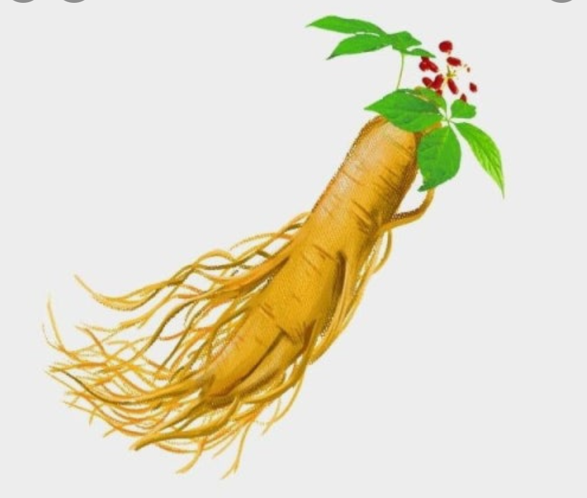 한국 임삼의 사진