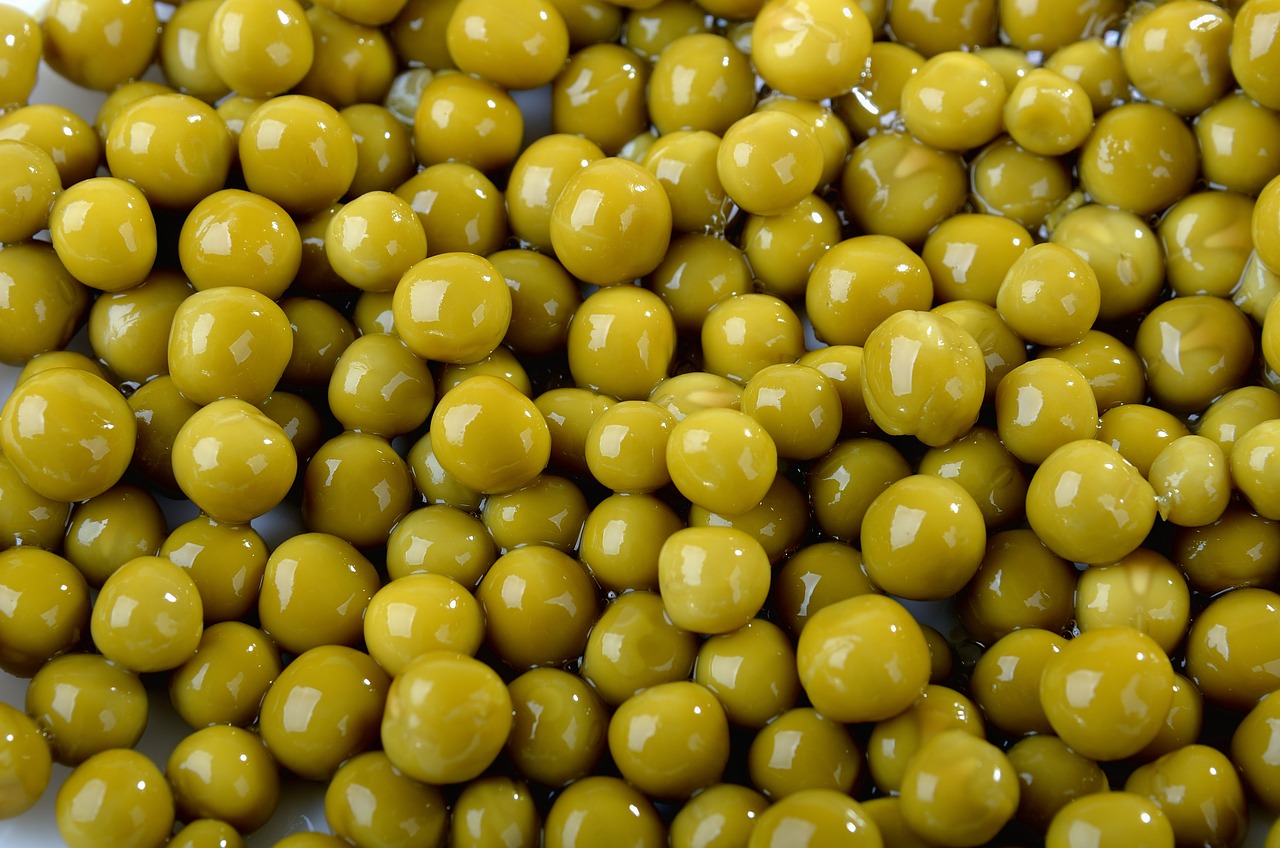 추석 직전, 프리랜서 지출 최적화 체크카드 혜택