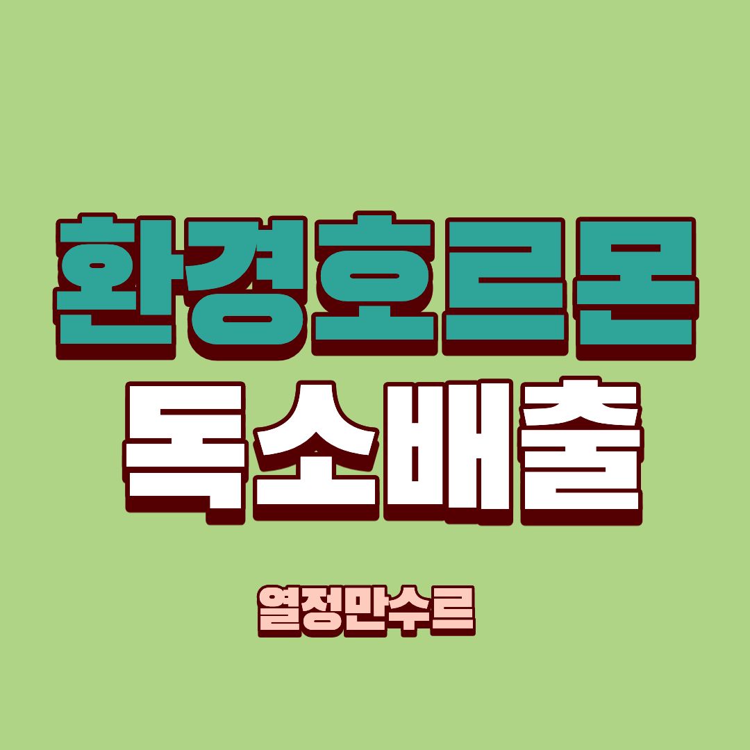 환경호르몬과 독소배출