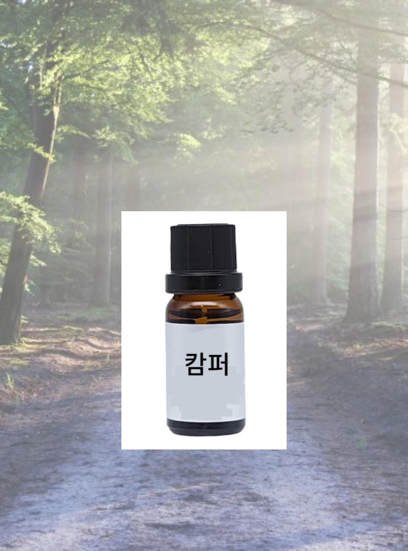 캄퍼에센셜오일