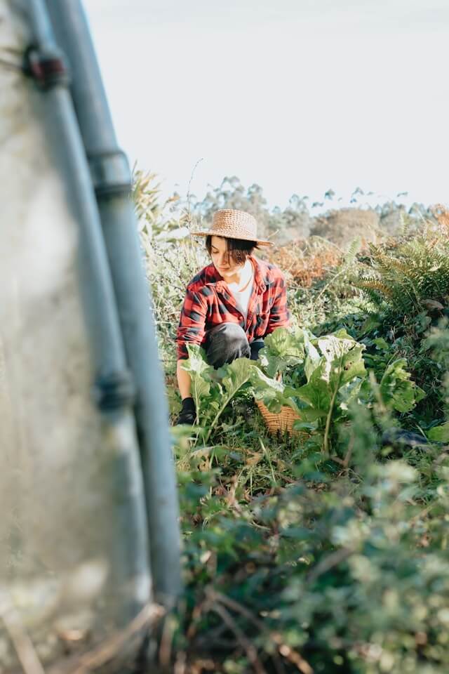 청년창업농 장학금 신청자격