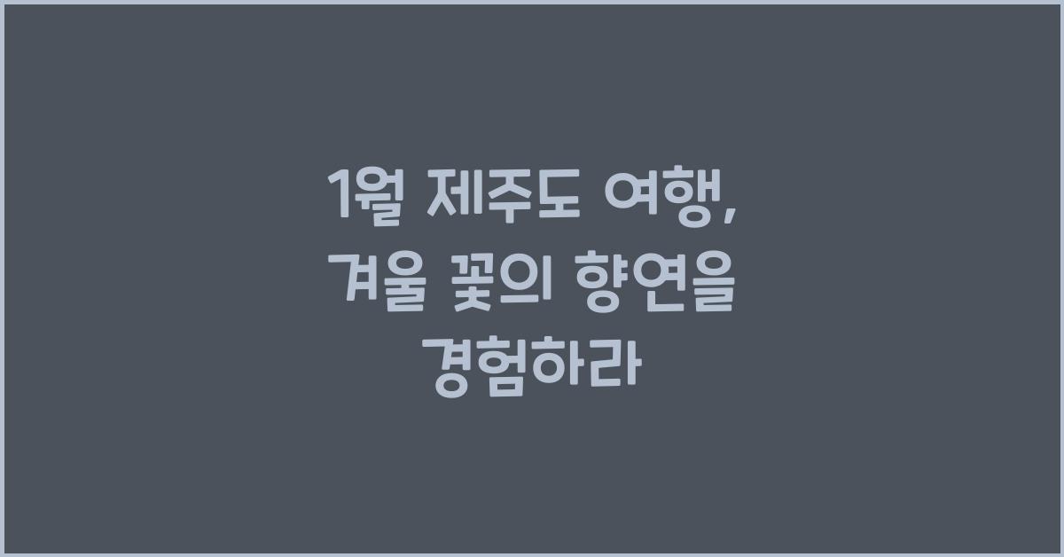 1월 제주도 여행