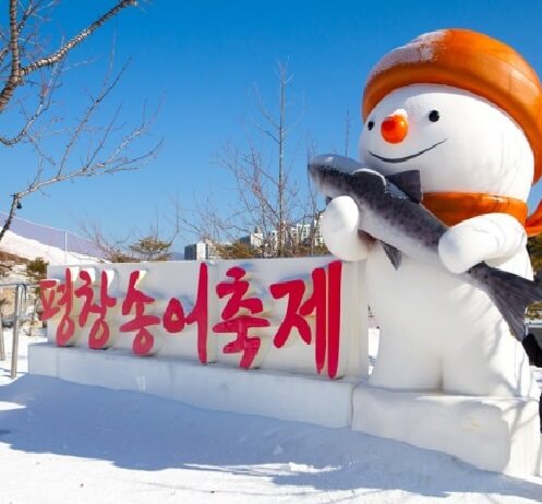 2025 평창송어축제