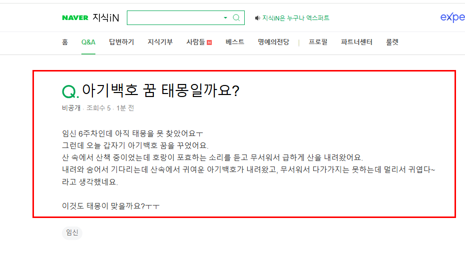 아기백호가 나온 꿈 태몽인지 궁금한 지식인