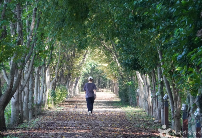 경북천년숲정원