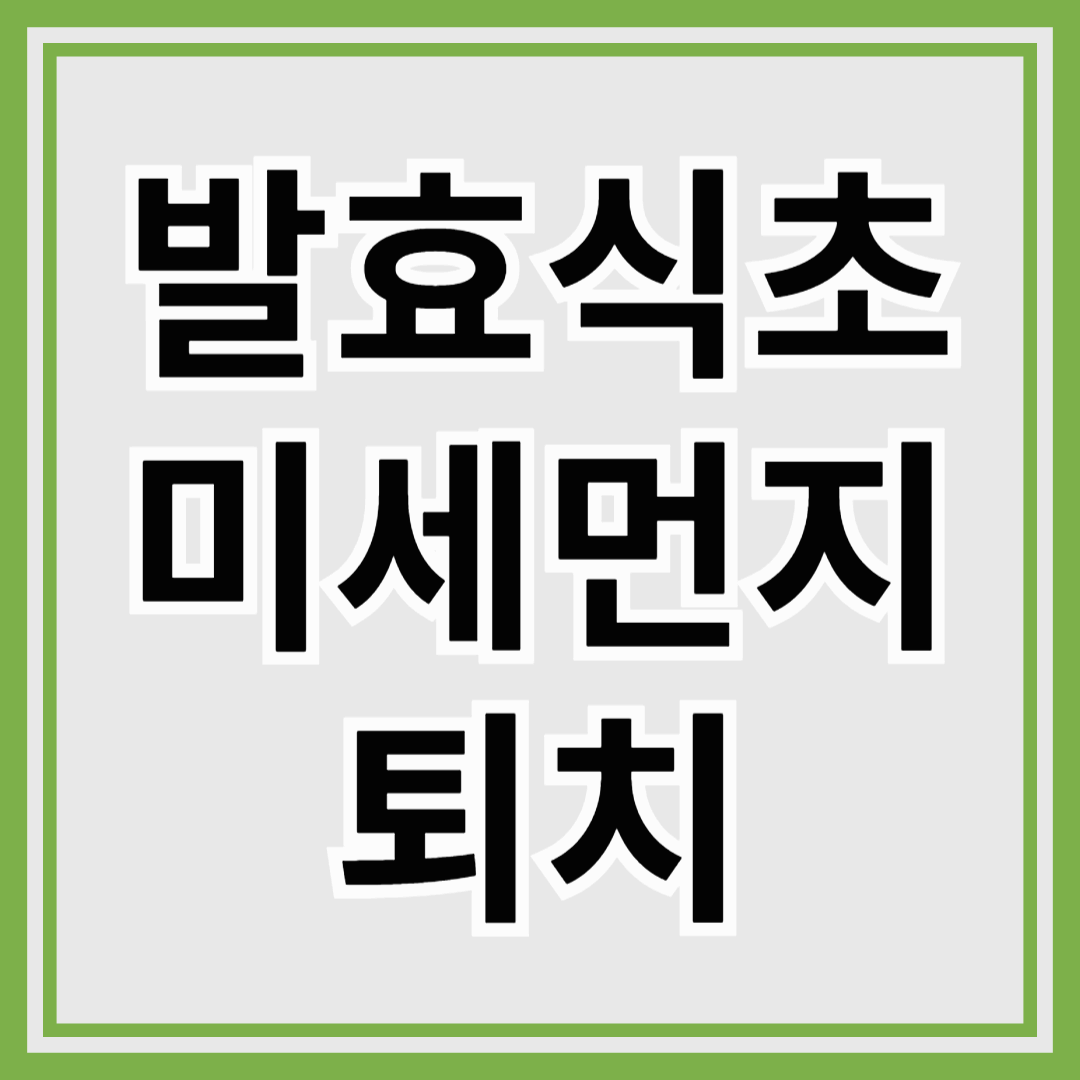 발효식초로 미세먼지 걱정 끝! 건강 지키는 간단한 방법