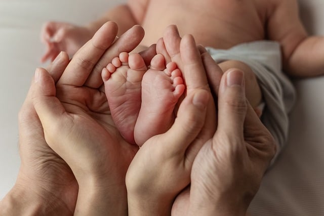 부모 교육 도서 관련 사진