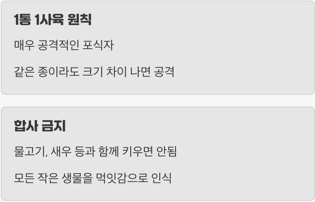 물속의 무법자&amp;#44; 합사는 금물