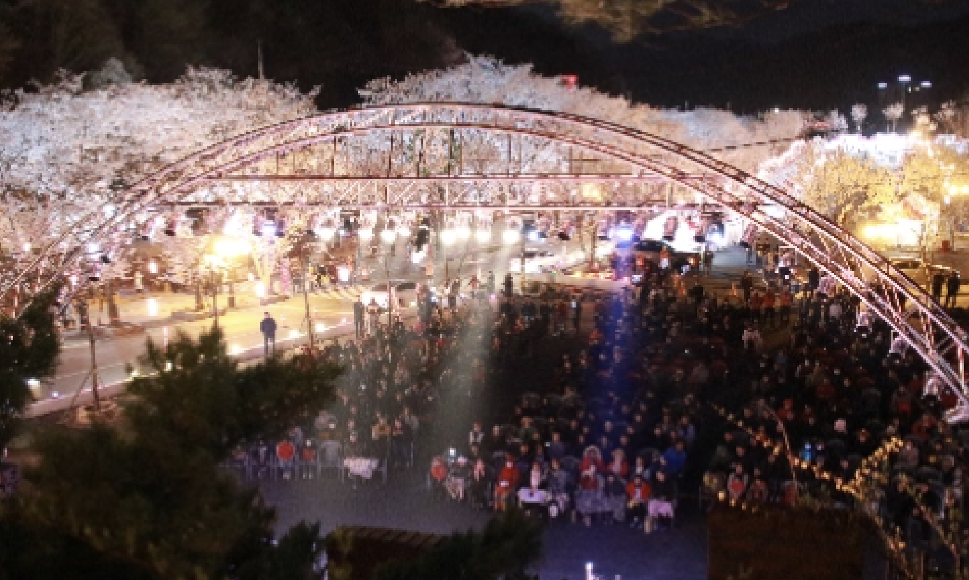 벚꽃 개화시기 2024 축제 일정 및 명소 추천