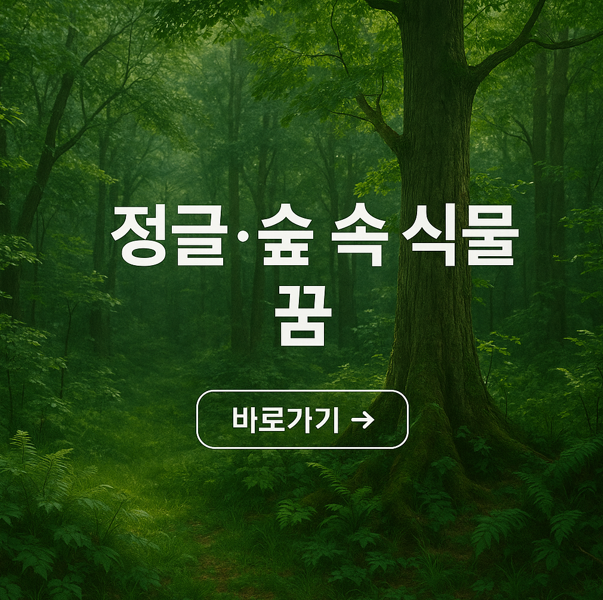 정글 숲 속 식물 꿈