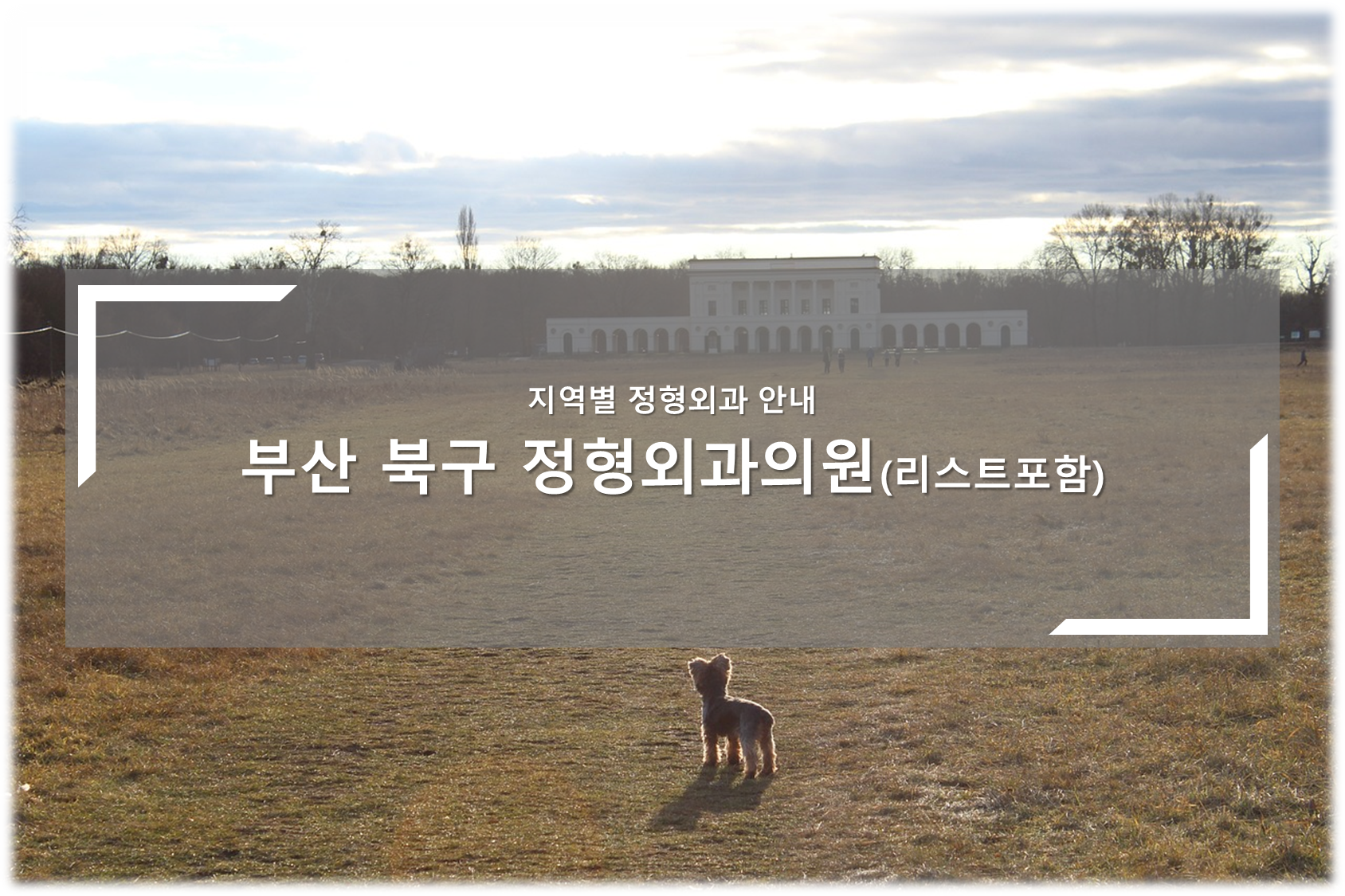부산 북구 정형외과의원 안내