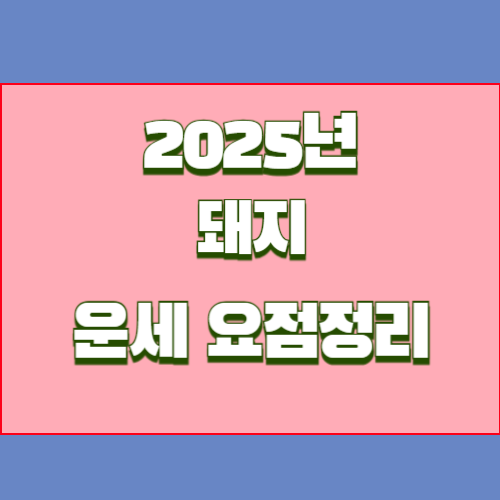 2025년 을사년 돼지띠 운세를 알아봅시다