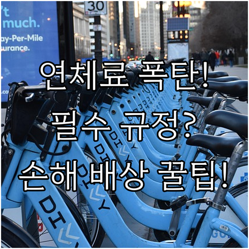 시즌 의상 산타복 대여 반납 규정 연..