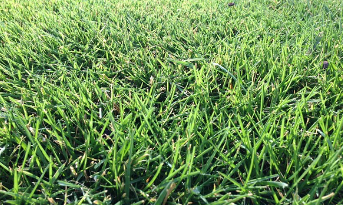 맨발 걷기 좋은 곳