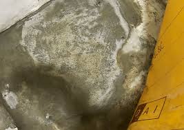 귀뚜라미보일러 고객센터 이용꿀팁