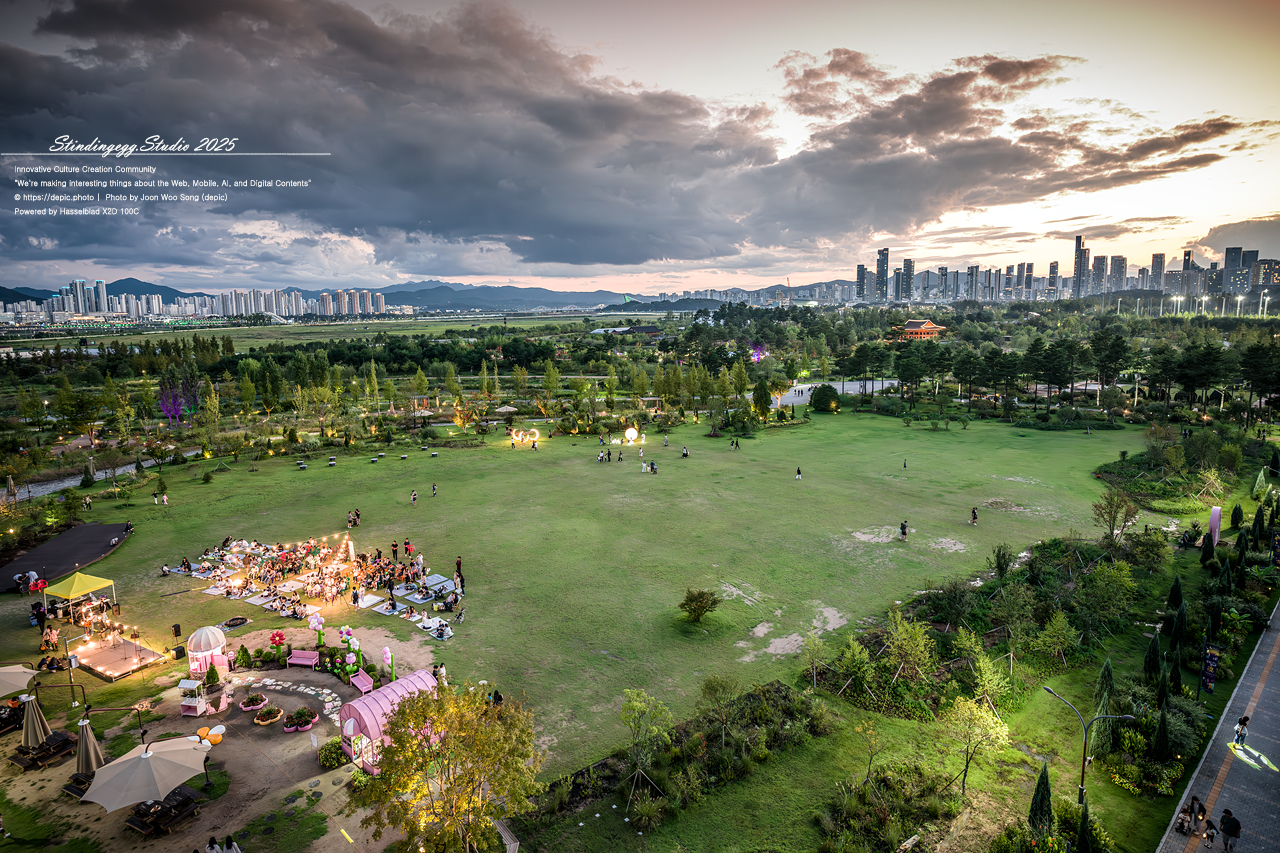 #세종 #세종수목원 #전망대 #야경