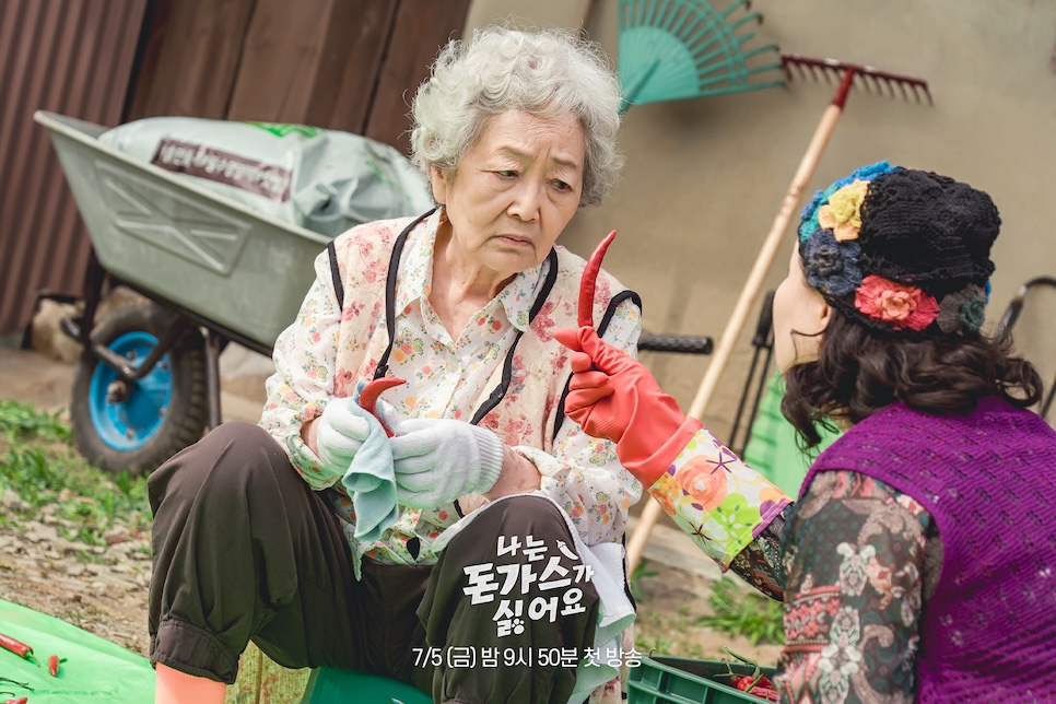 MBC 단편드라마 나는 돈가스가 싫어요 등장인물관계도 출연진 정보