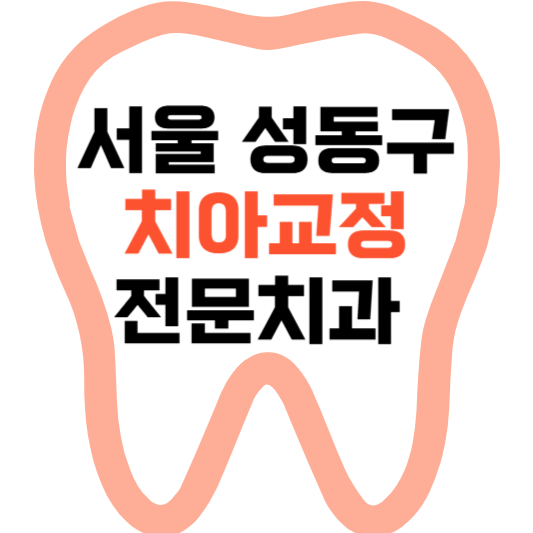 서울 성동구 치아교정 치과 잘하는 곳 전문 치과 추천 .png