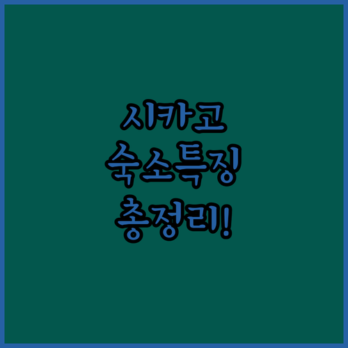 미국 시카고 여행 호텔 추천 루프 시..