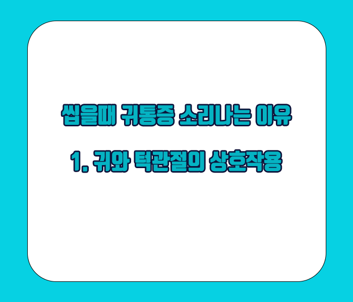 씹을때 귀통증 소리나는 이유 - 귀와 턱관절은 상호작용을 통해 신경이 서로 연결되어있다