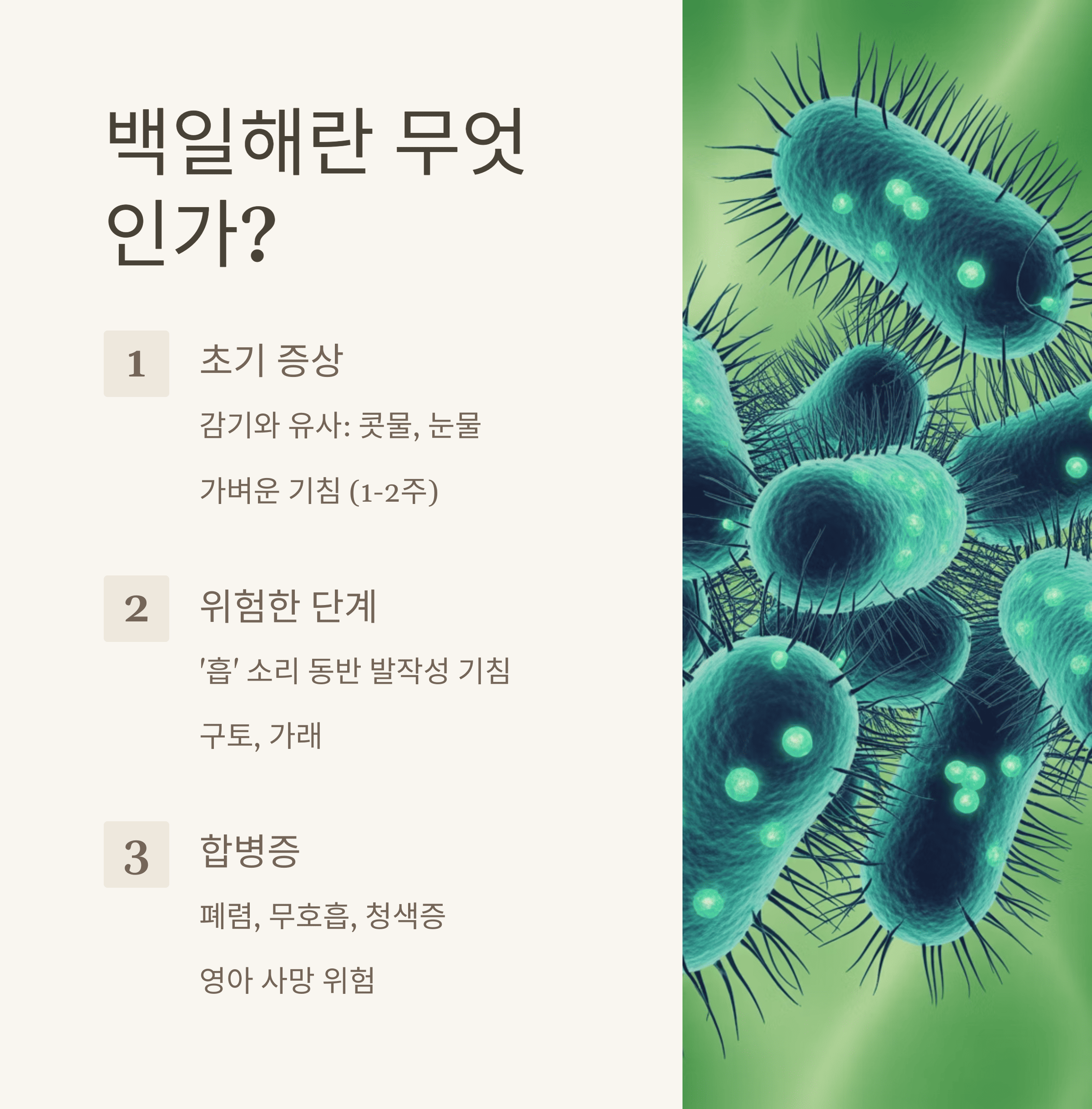 백일해 바이러스