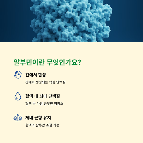 알부민이란
