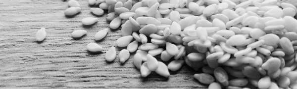 토양 수분 관찰 중요