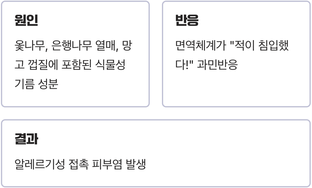 적의 정체&amp;#44; 보이지 않는 기름 &amp;#39;우루시올&amp;#39;
