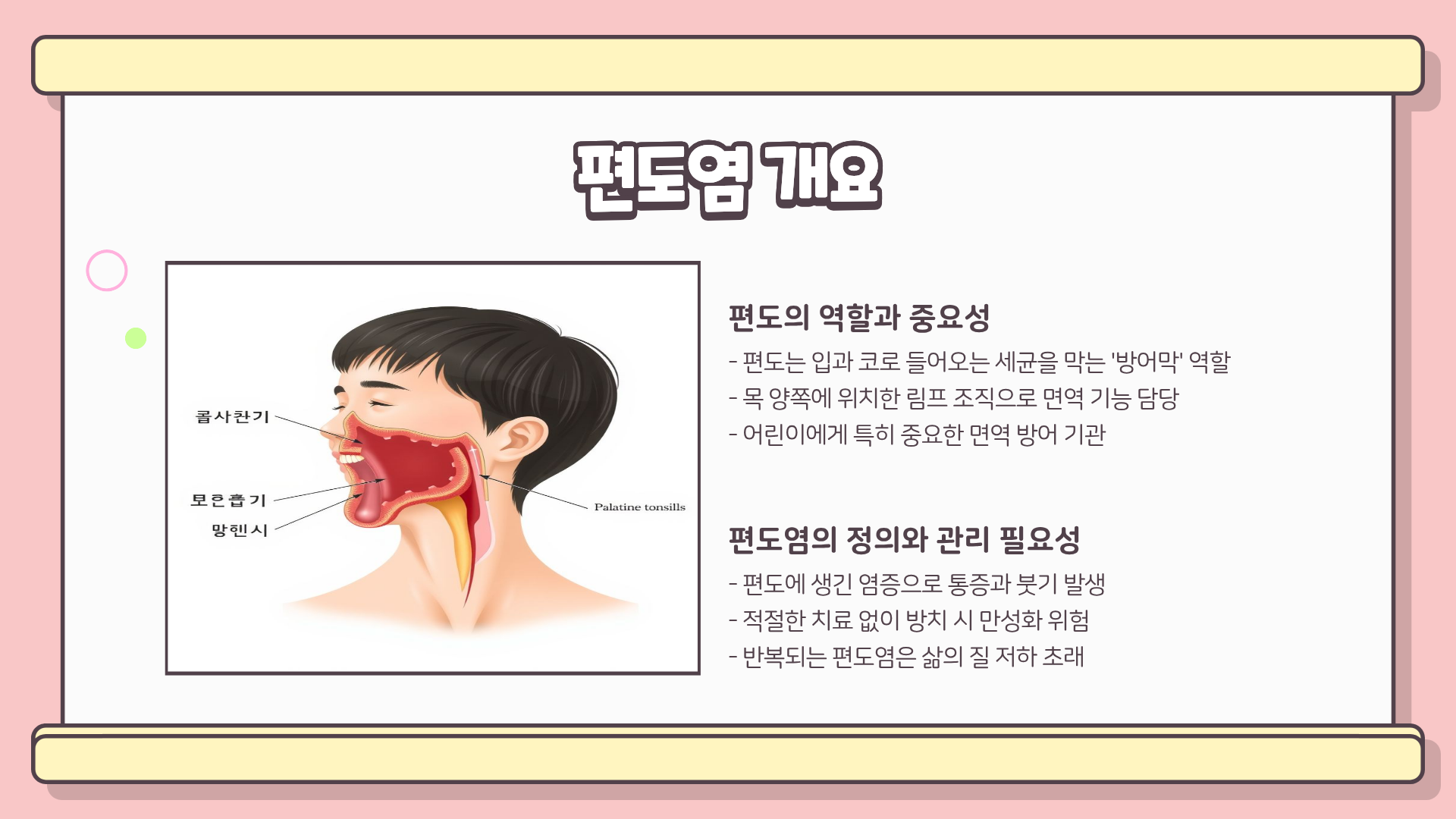 편도염 증상 ❘ 편도염 원인 ❘ 편도염 치료 ❘ 편도염 빨리 낫는법, 제대로 치료하는 현실 가이드