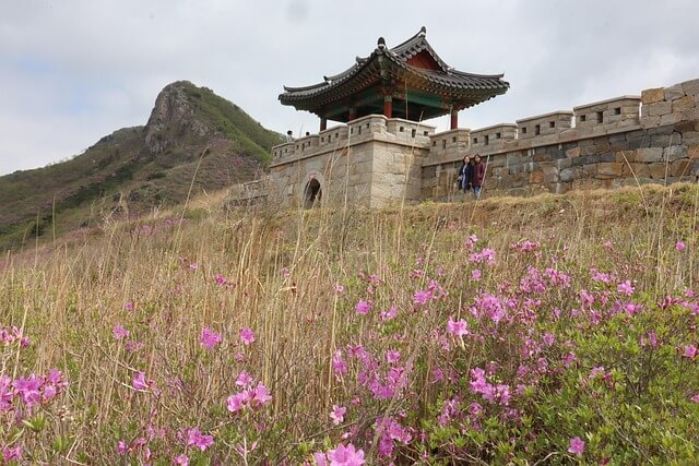 황매산 철쭉축제 근처 맛집 추천! 현지인 인정 합천·산청 밥집 BEST 5 (2025년)