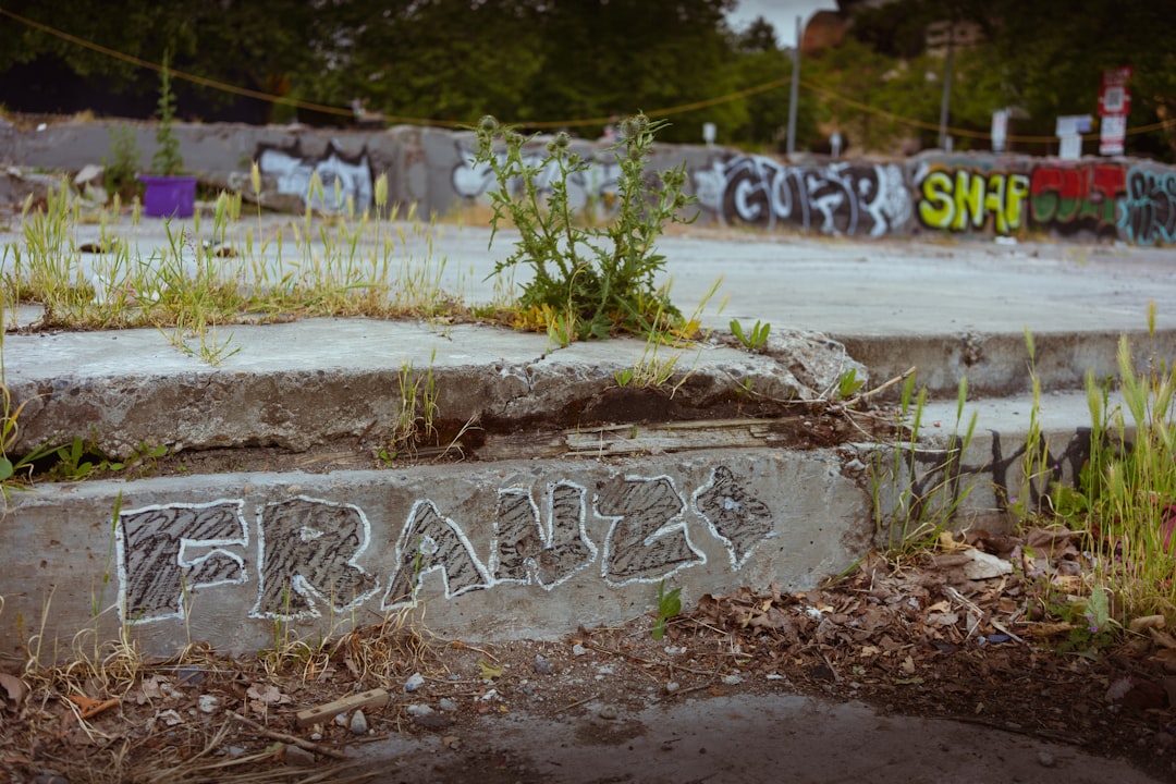 grant