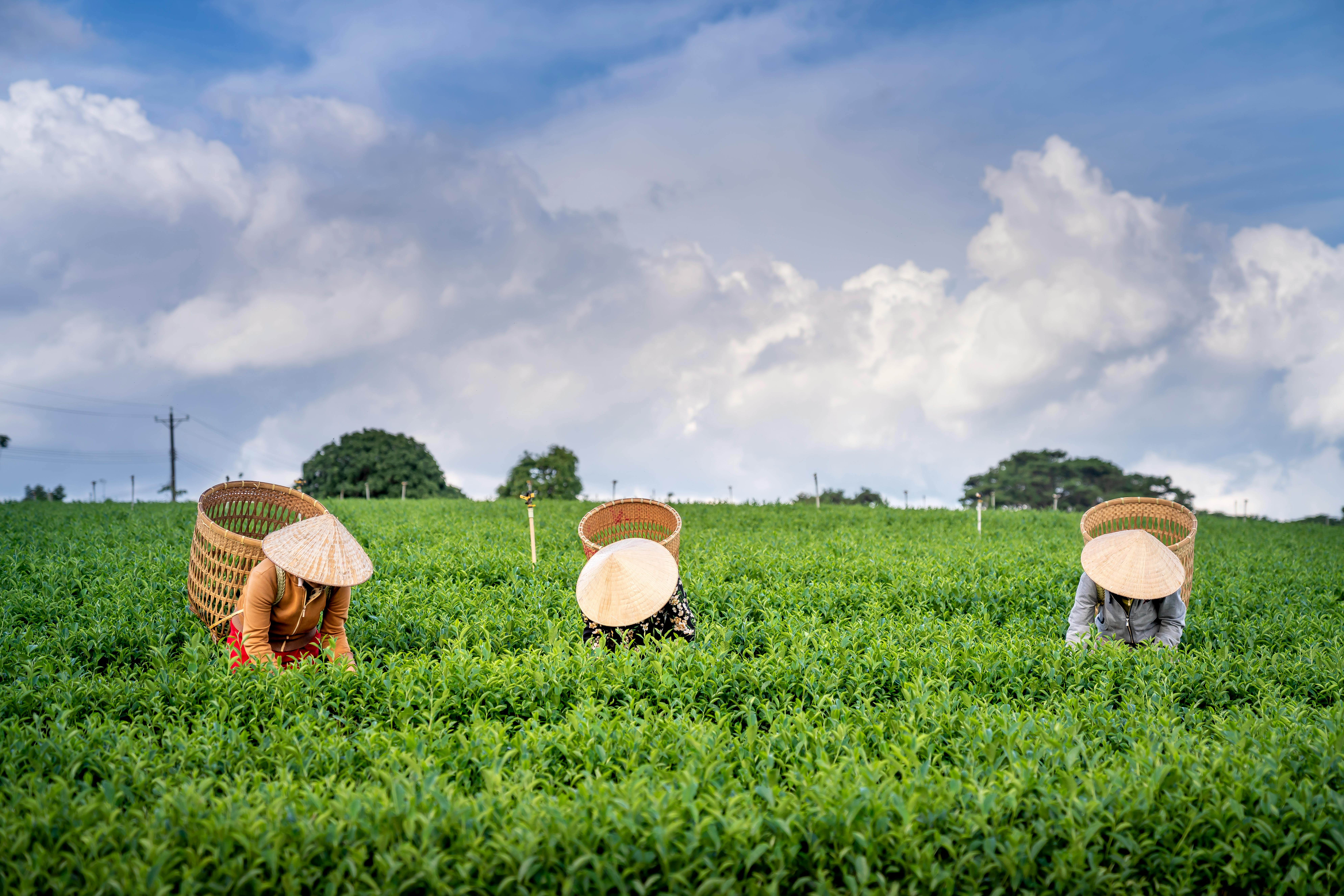 5년치 세금 환급, 종합소득세 환급, 소득세 신고, 원클릭 환급, 홈택스 자동계산, 세무사 없이, 세금 돌려받기, 경비 미신고, 연말정산 누락, 무료 세무신고