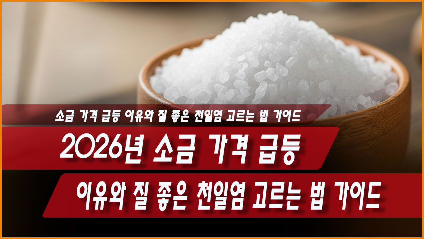 2026년 소금 가격 급등 이유와 질 좋은 천일염 고르는 법 가이드