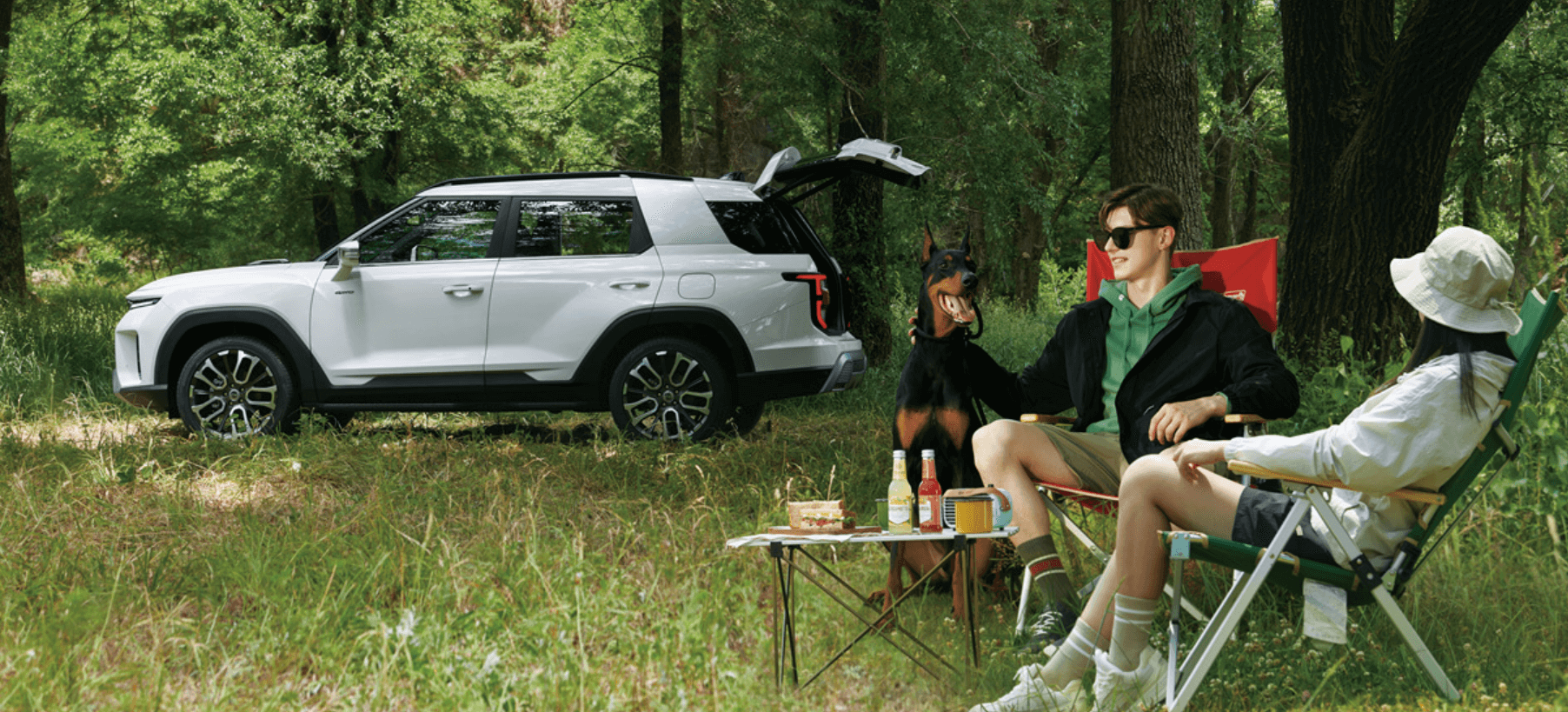 토레스(바이퓨얼) 가격, 중고차 가격, 쿠페