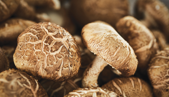 버섯5가지 효능, 자연이 선사한 건강의 보고