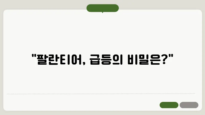 팔란티어 투자 전략 및 리스크 관리